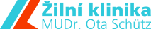Primary Raster logo